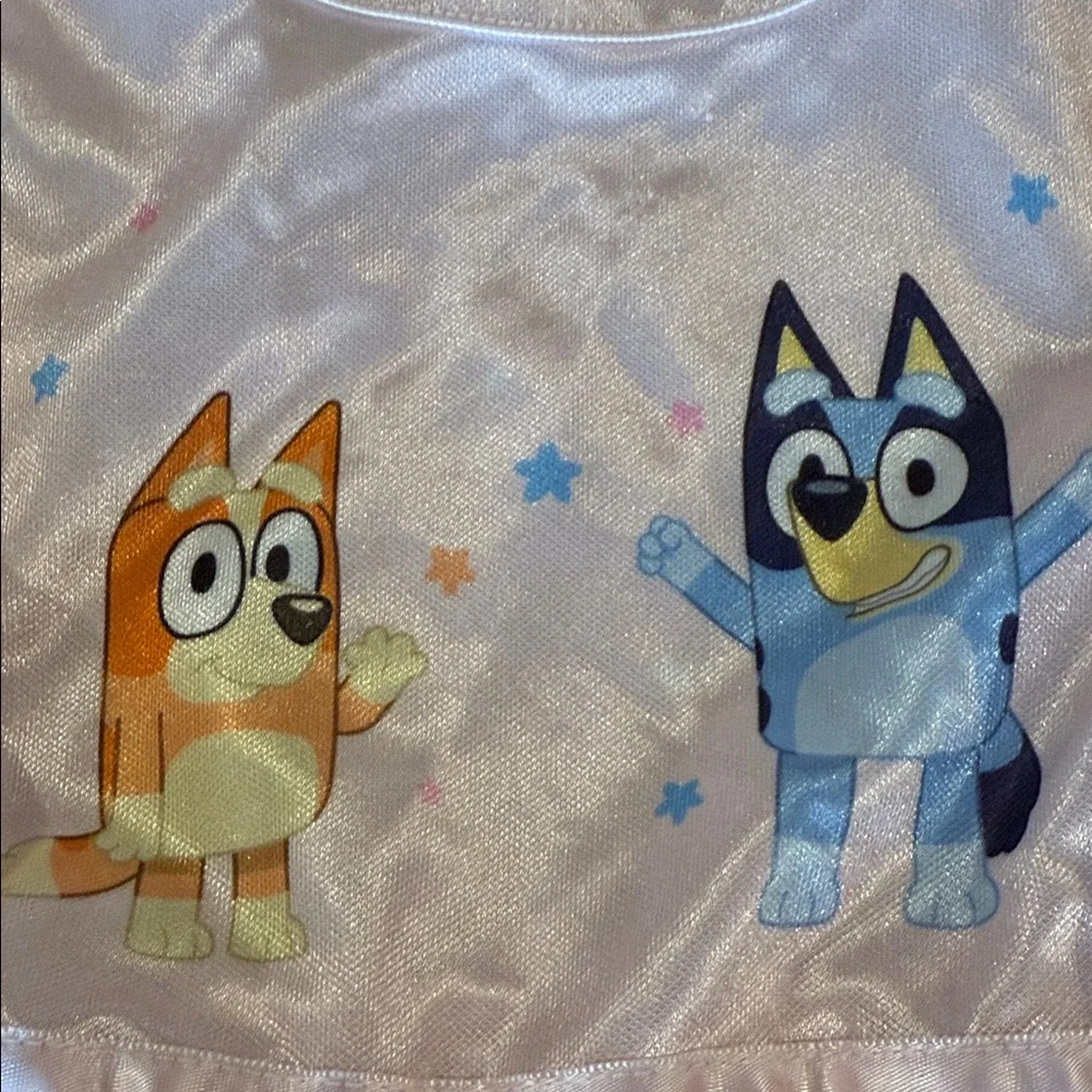 Bluey girls Charming cartoon character Nightgown